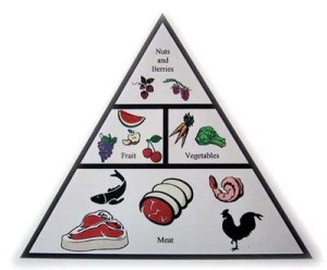 caveman-food-pyramid